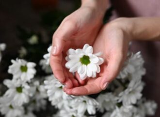 National Kiss and Make Up Day: Celebrating Reconciliation and Rekindling Relationships (August 25th)