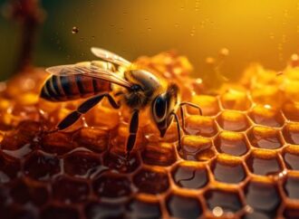 World Honey Bee Day: Origins and Ways to Honor Our Pollinator Heroes (August 19th)