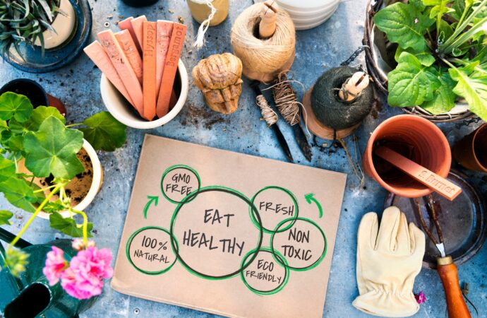 Eat Healthy Day: A Tasty Journey to Wellness<br> (Nov. 8th)