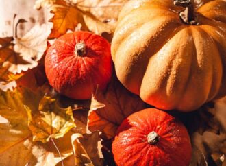 National Pumpkin Day: Embracing the Orange Wonder! (Oct. 26th)