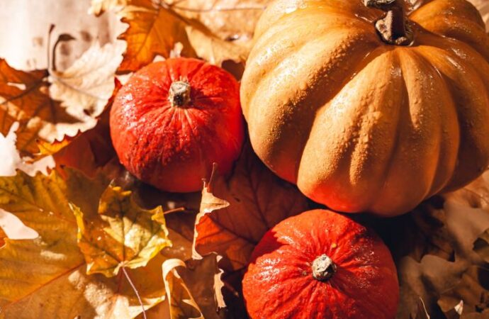 National Pumpkin Day: Embracing the Orange Wonder! (Oct. 26th)
