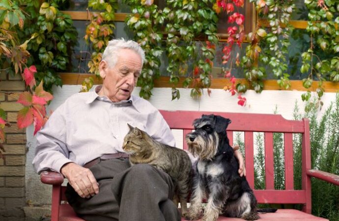 Celebrating Pet Owners Independence Day: A Day for Our Furry Friends!<br> (April 18th)