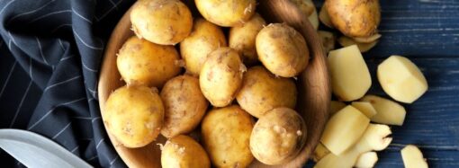 Let’s Celebrate International Day of the Potato! (May 30th)