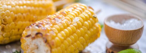 Celebrating Corn On The Cob Day! (June 11th)