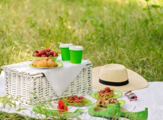 Celebrate International Picnic Day: A Day of Joy and Togetherness!<br> (June 18th)