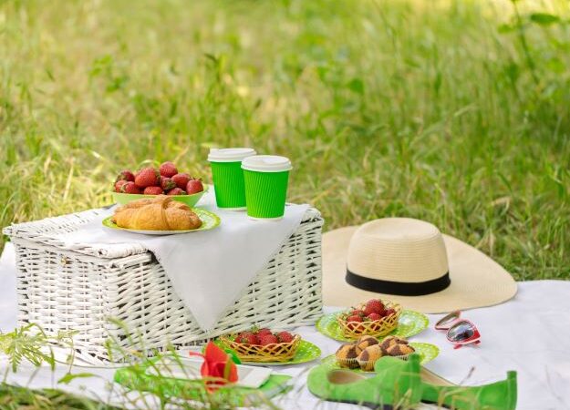 Celebrate International Picnic Day: A Day of Joy and Togetherness!<br> (June 18th)