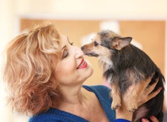 National Pet Fire Safety Day: Keeping Our Furry Friends Safe! (July 15th)