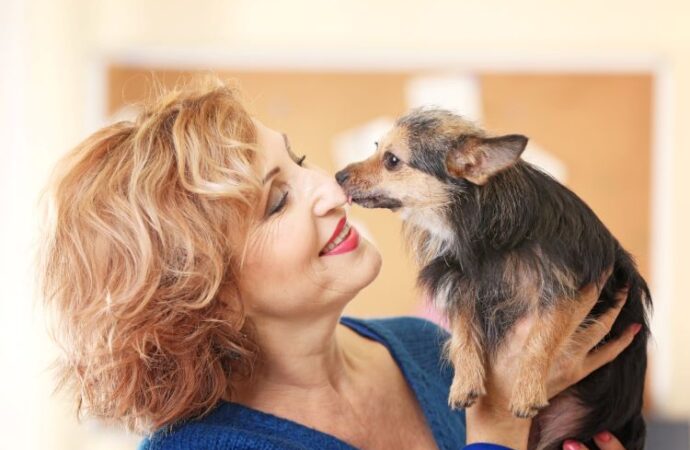 National Pet Fire Safety Day: Keeping Our Furry Friends Safe! (July 15th)