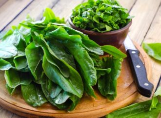 Celebrate Fresh Spinach Day: A Day to Love Your Greens! (July 16th)