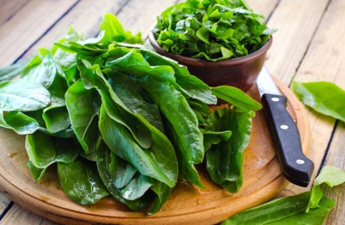Celebrate Fresh Spinach Day: A Day to Love Your Greens! (July 16th)