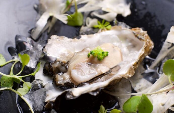 National Oyster Day: Celebrating the Treasure of the Sea! (August 5th)