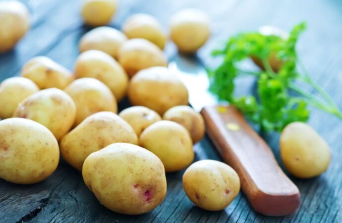 National Potato Day: Celebrating the Spud! (August 19th)