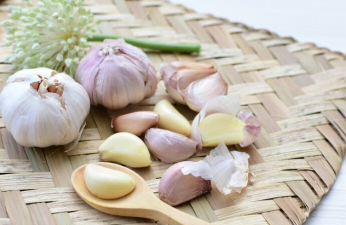 National Garlic Day: A Celebration of Flavor and Tradition!