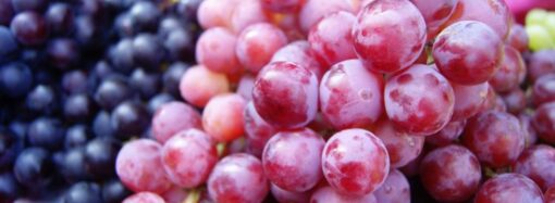 National Grape Day: A Celebration of Health and Sweetness!