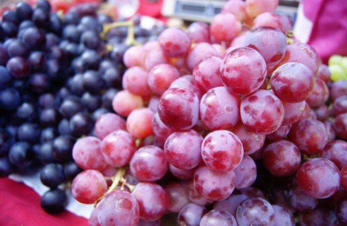 National Grape Day: A Celebration of Health and Sweetness!
