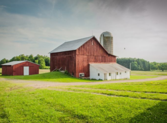 Barn Day: A Celebration of Rustic Roots and Rural Traditions!