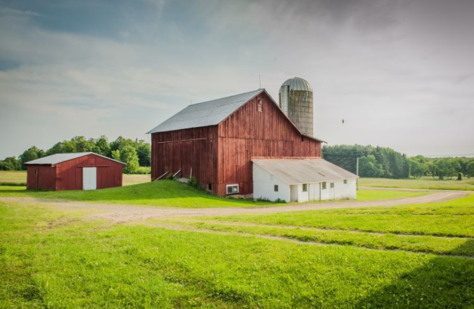 Barn Day: A Celebration of Rustic Roots and Rural Traditions!